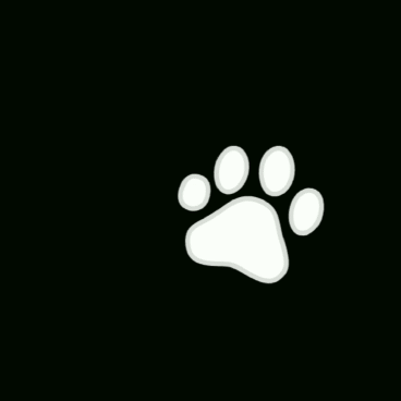 Встречайте новый проект PAWS, который монетизирует все ваши прошлые дропы из NOT, DOGS и HMSTR. 