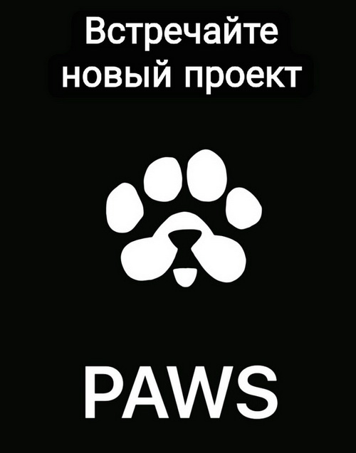 PAWS - Новый проект от Notcoin