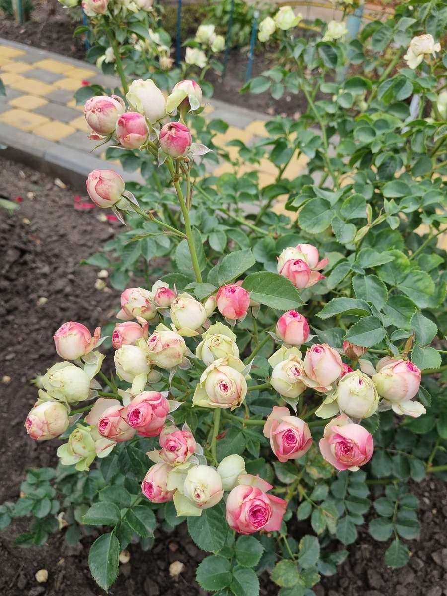 фото Татьяны