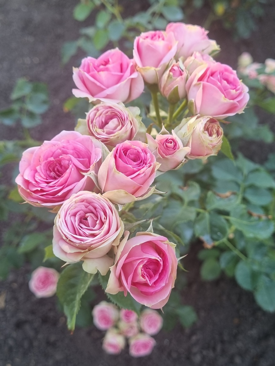 фото Татьяны