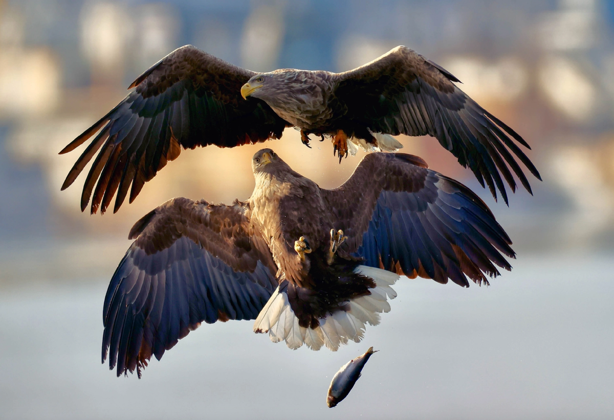 Фотоконкурс "Самая красивая страна". Источник фото: https://rgo.ru