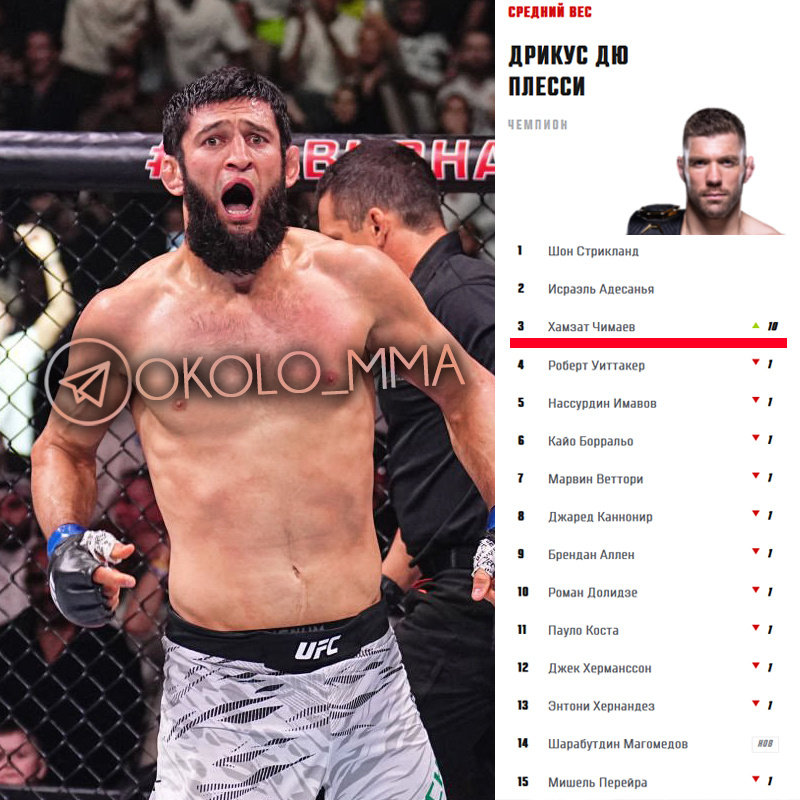 Хамзат Чимаев в обновленном рейтинге UFC 