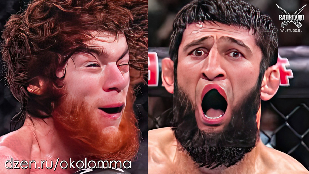 Шара Магомедов и Хамзат Чимаев | valetudo.ru 