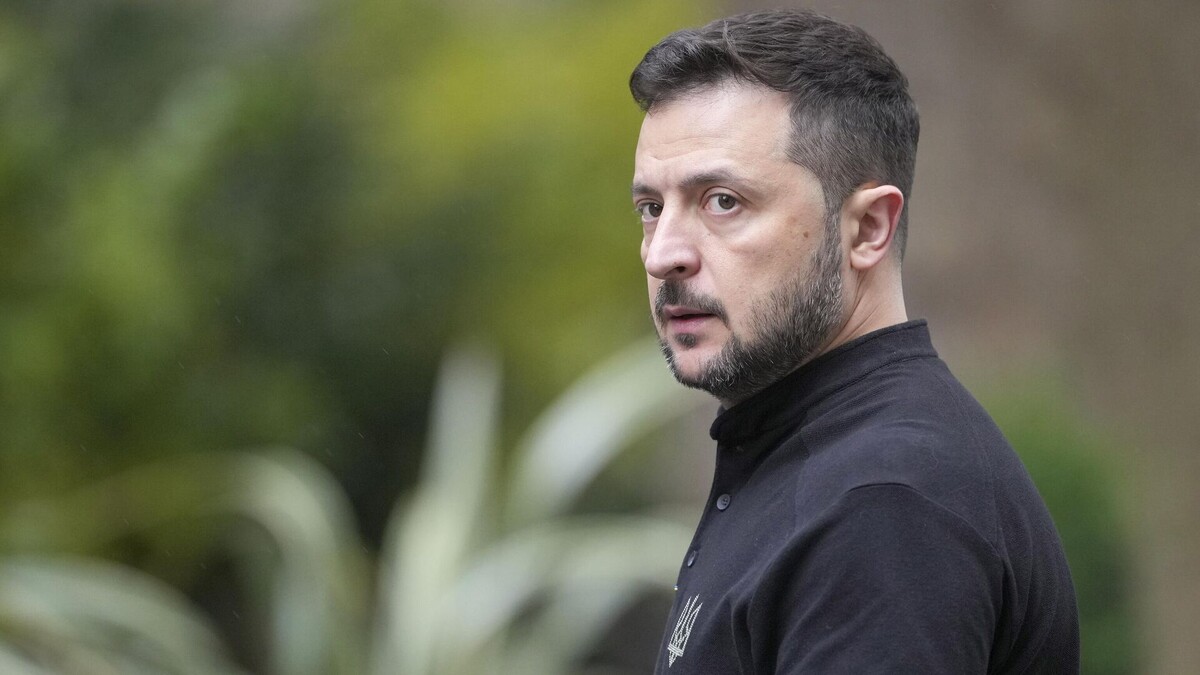 Фото из свободных источников