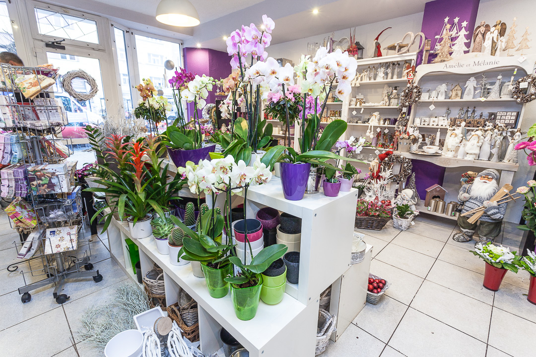 Автор: Vladimír Brabec  Авторские права: Photo by Vladimir BRABEC - CC BY-NC-ND 4.0