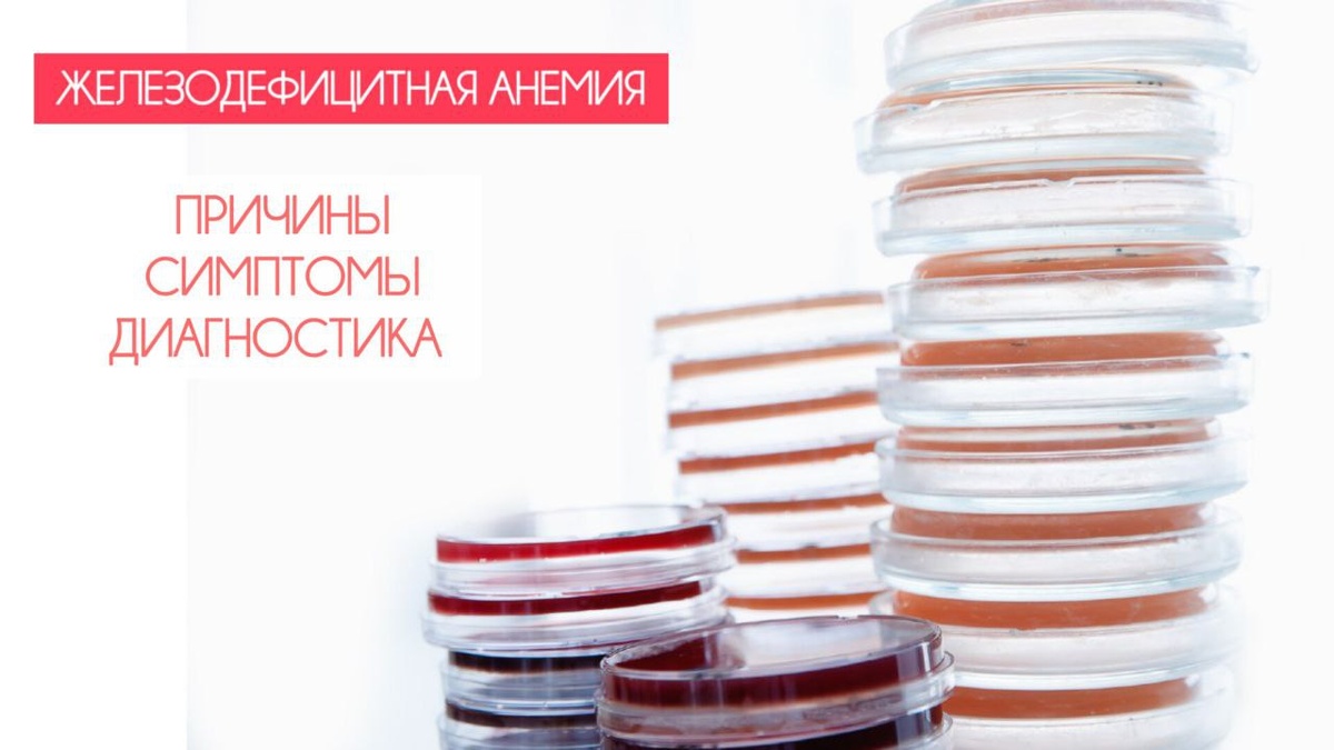 Фото: Евгений Парилов