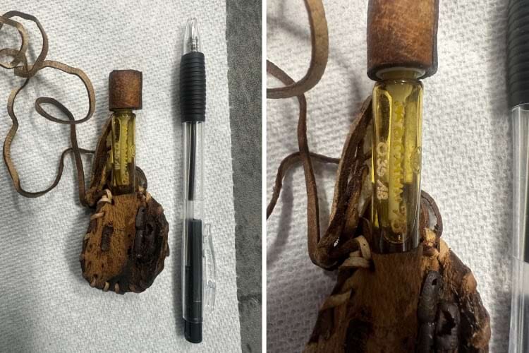 Источник: insomniac-mannequinn/reddit