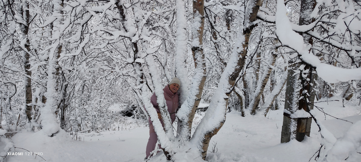 Какая красивая зима начиналась