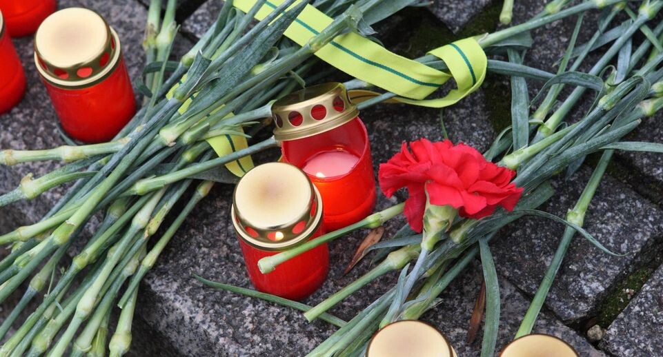    Zamir Usmanov/Global Look Press