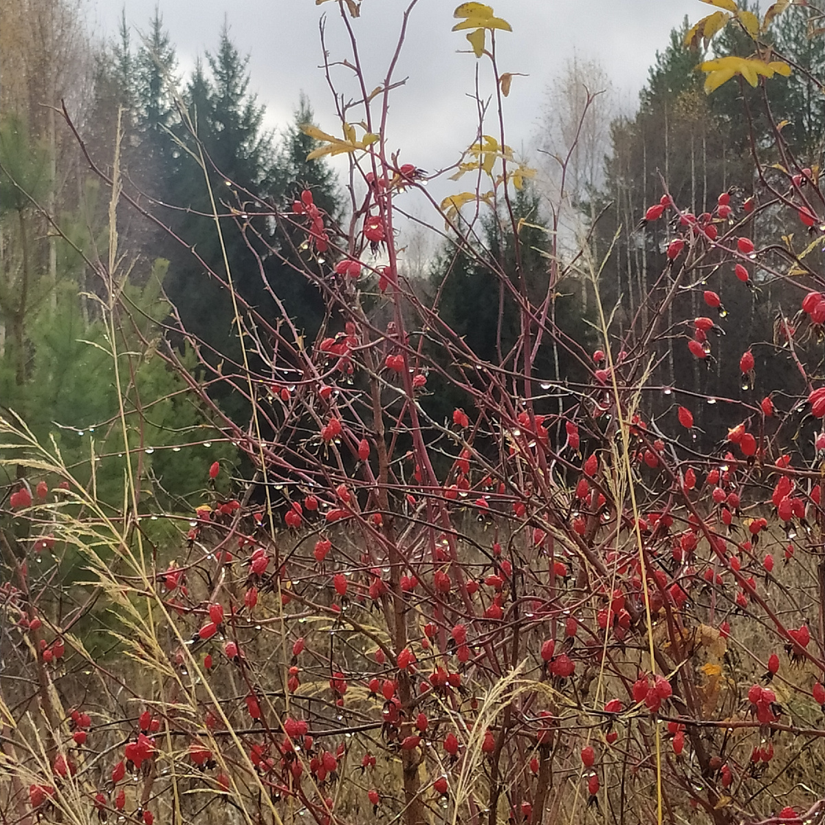 Октябрь 2024, из личного архива