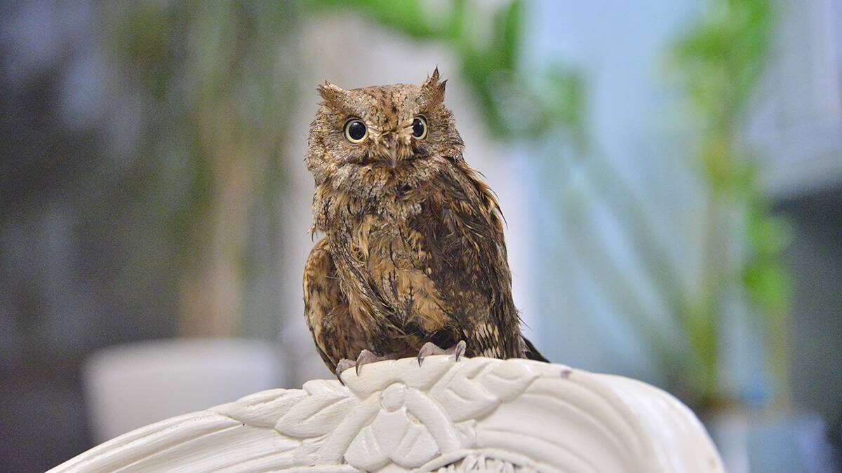    Фото: Анна Малакмадзе / Вечерняя Москва