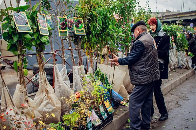 Тверичан предупредили: не все, что растет, продавать можно