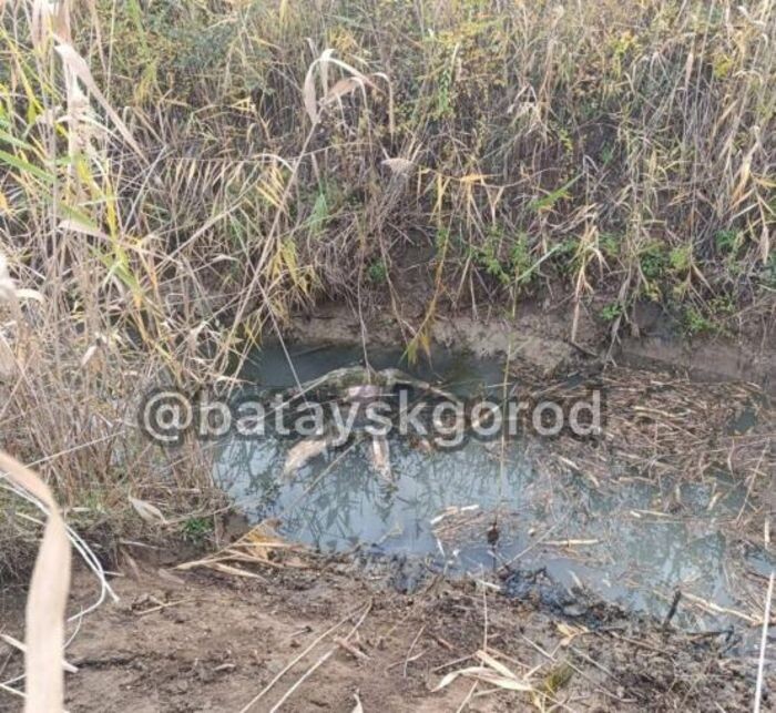 Источник фото: Телеграмм-канал «Батайск город».