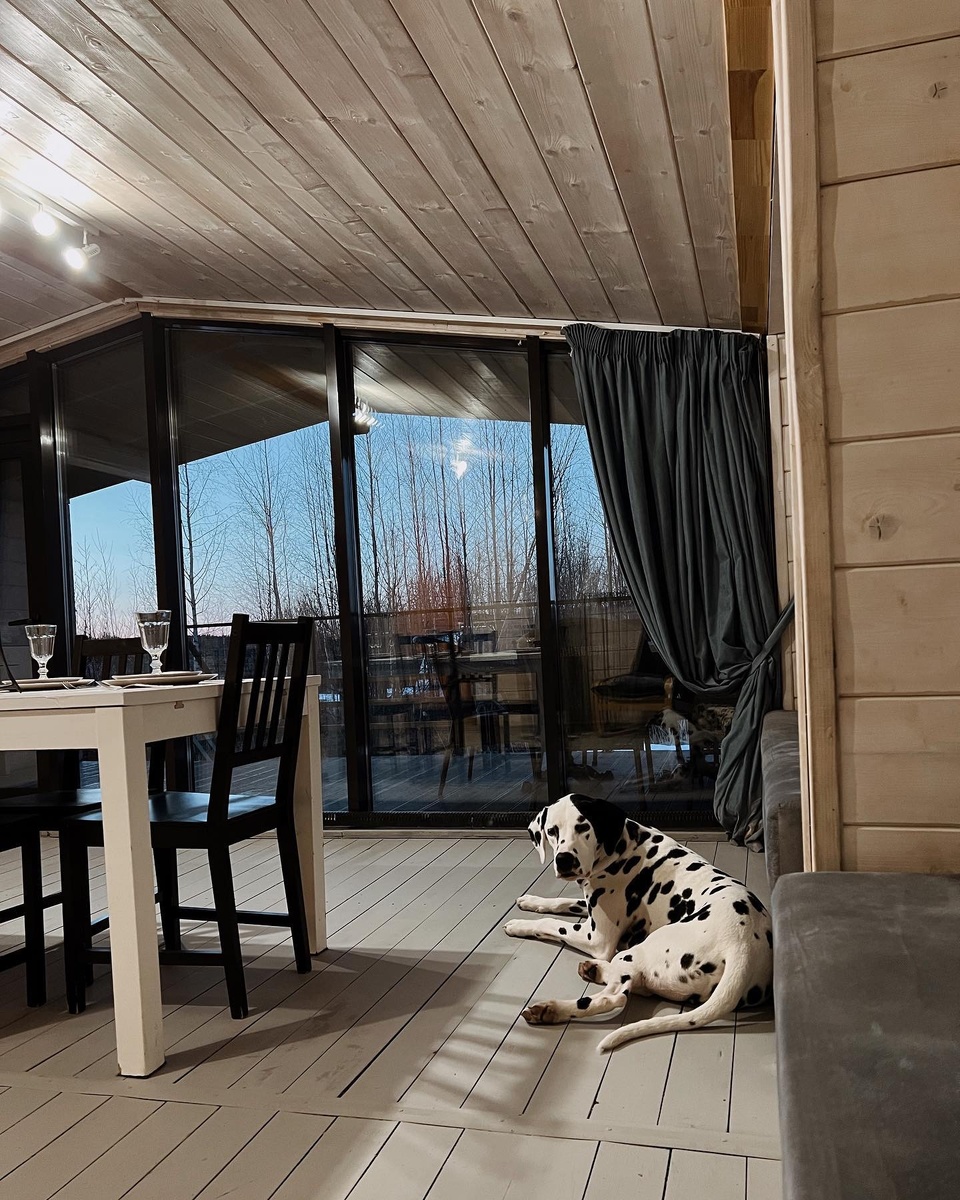 Можно с собаками ❄️