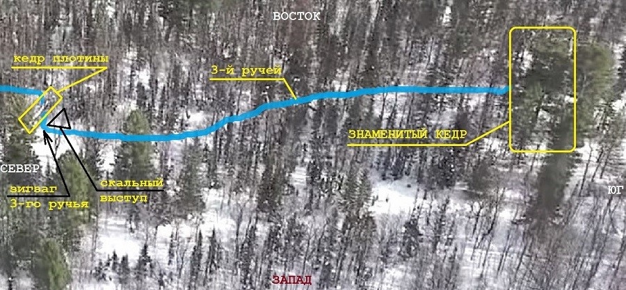 Рисунок 2. Плотина и кедр