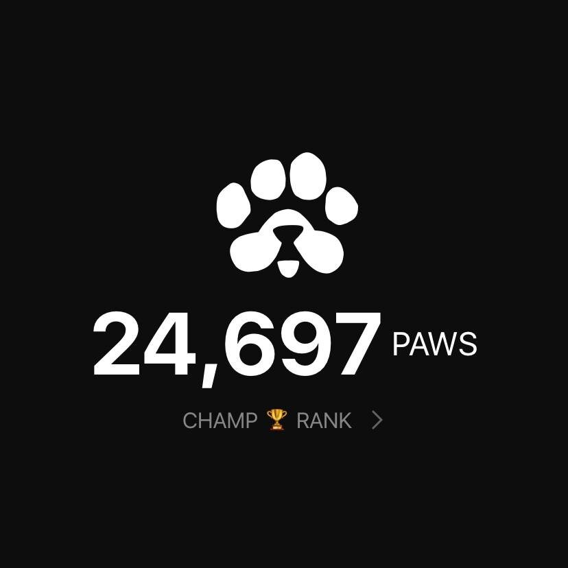 Поинты в PAWS