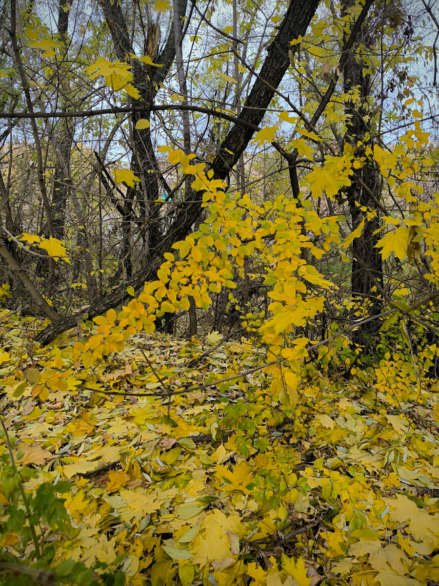 Всё фотографии в статье авторские