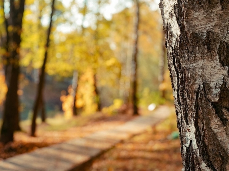     Фото принадлежит ИА SM-News