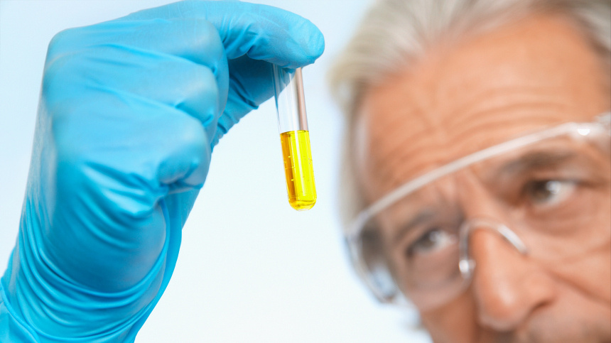    Фото: www.globallookpress.com/David Oxberry