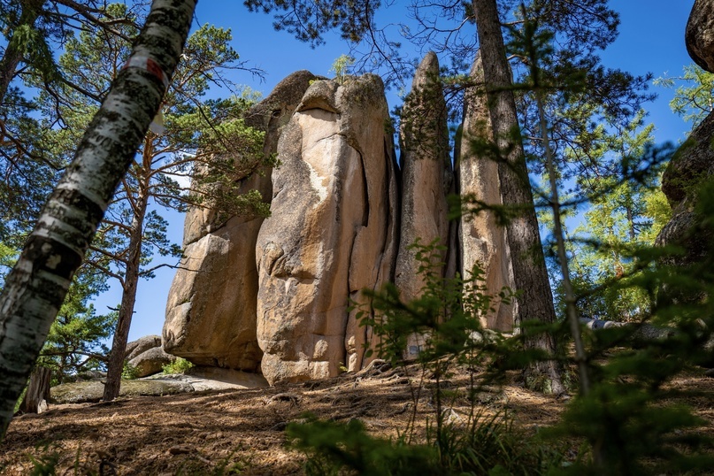 Любимое занятие моего мужа и многих красноярцев — пешие прогулки к Столбам, до которых семь километров в одну и столько же в другую сторону.