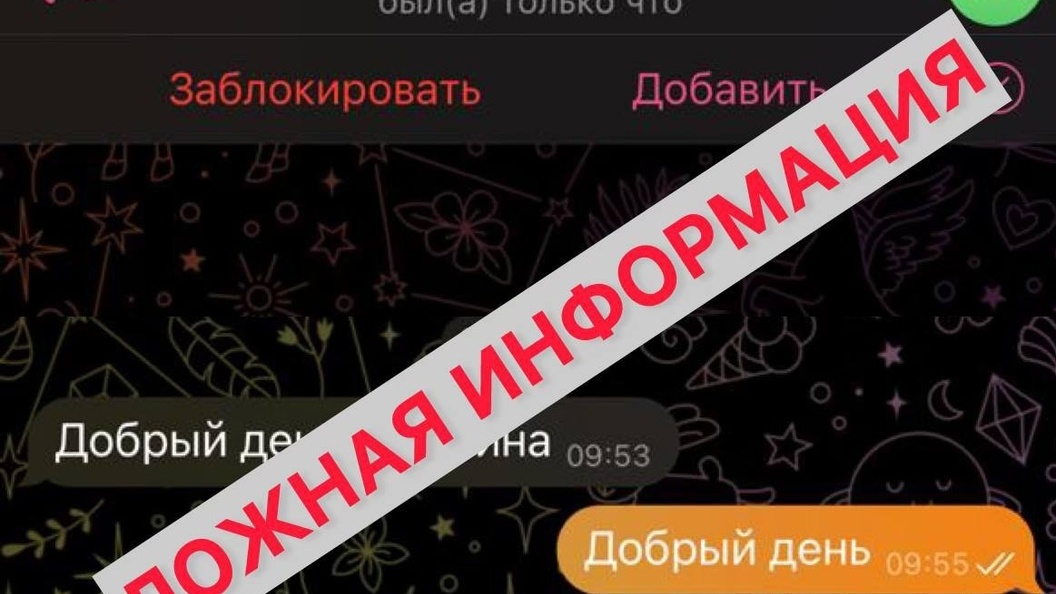    Фото: глава Крымского района Сергей Лесь/t.me/sergeyi_les