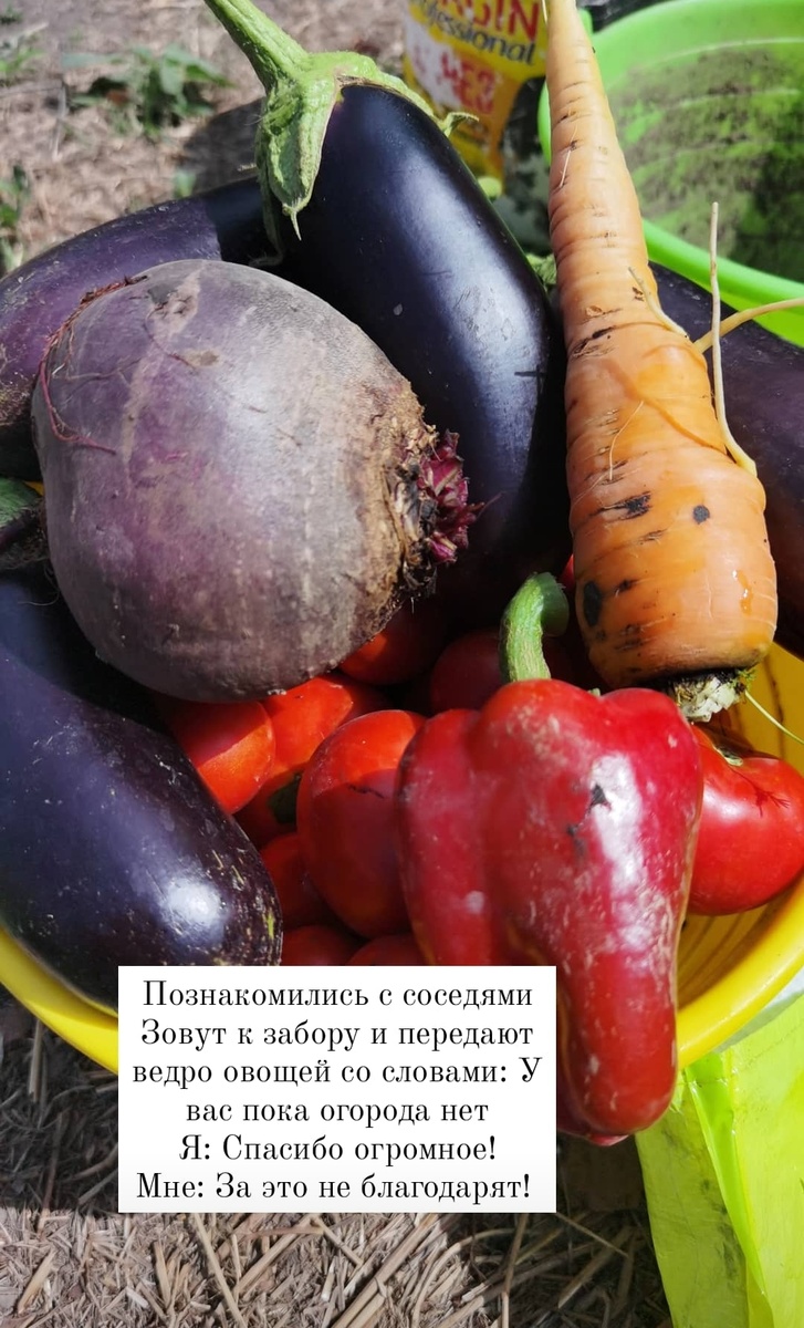 Вот первый презент, когда только-только переехали