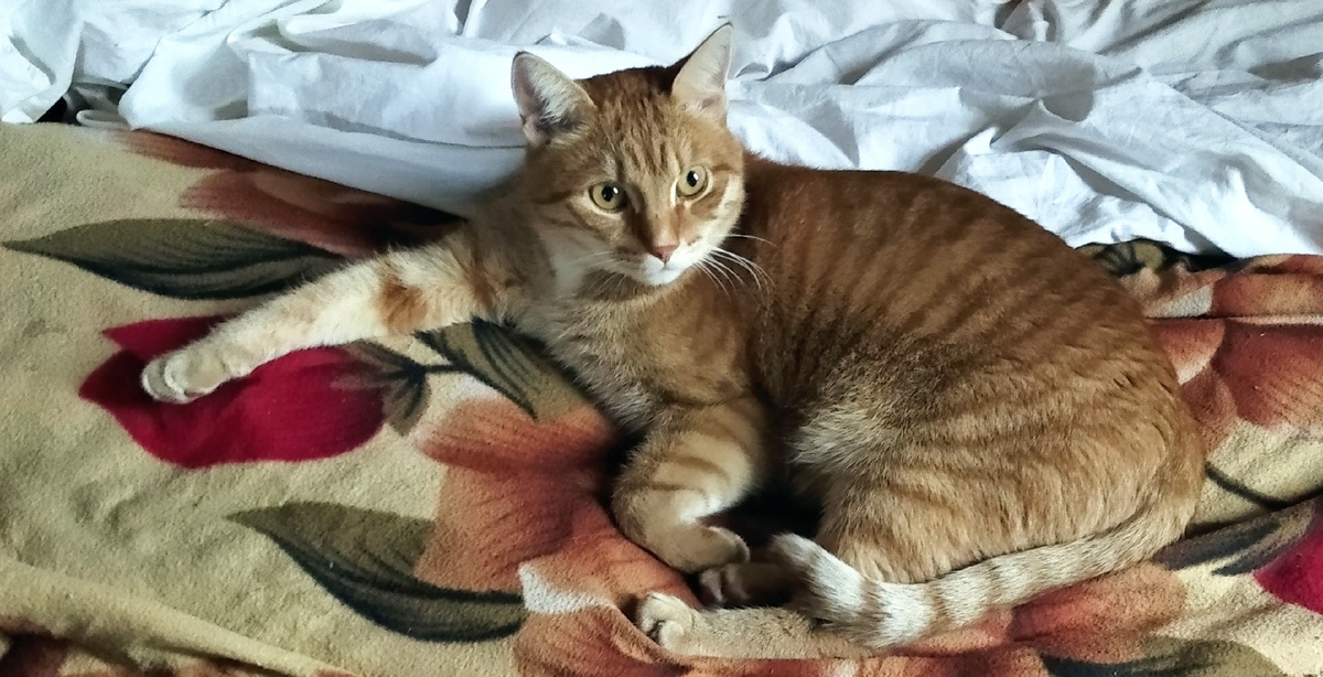 Личное фото