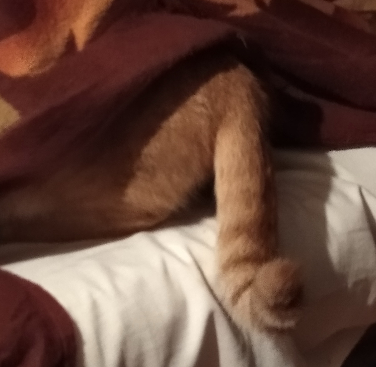 Личное фото