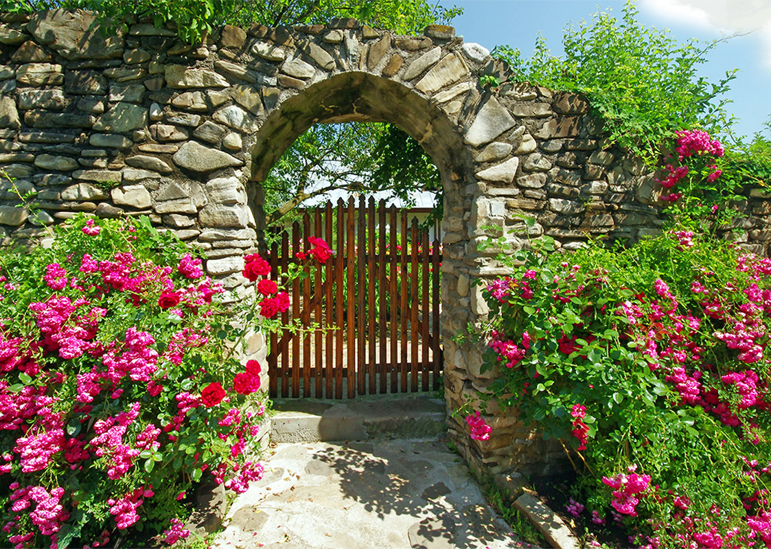 Фото из доступных источников.