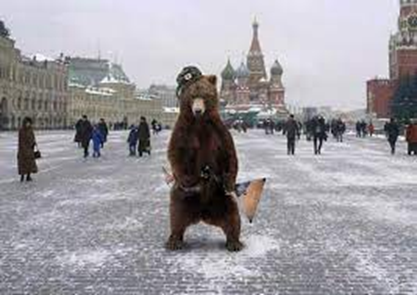 Фотография взята с Дзена