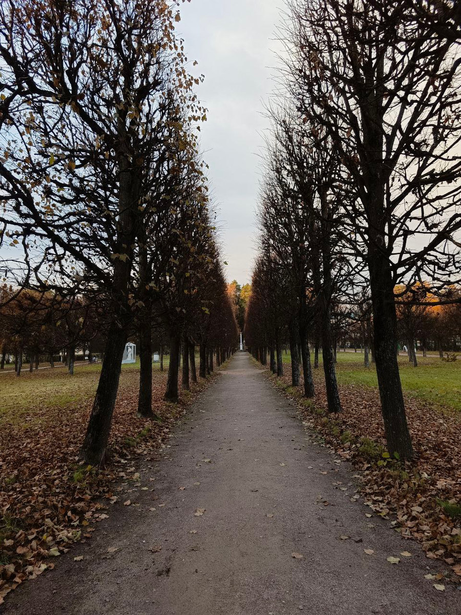 Осенняя прогулка. Фото из личного архива. "Музей-заповедник Архангельское"