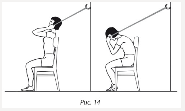 Упр.2 «Кранчи» сидя на скамье