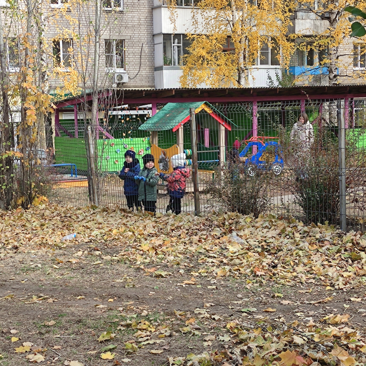 Птицы в клетке, звери в клетке... (с)