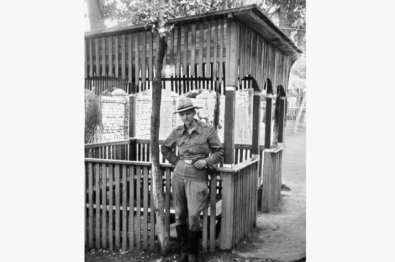 фото из интернета