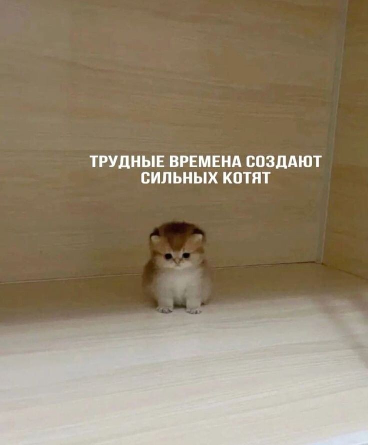 Задумайтесь!