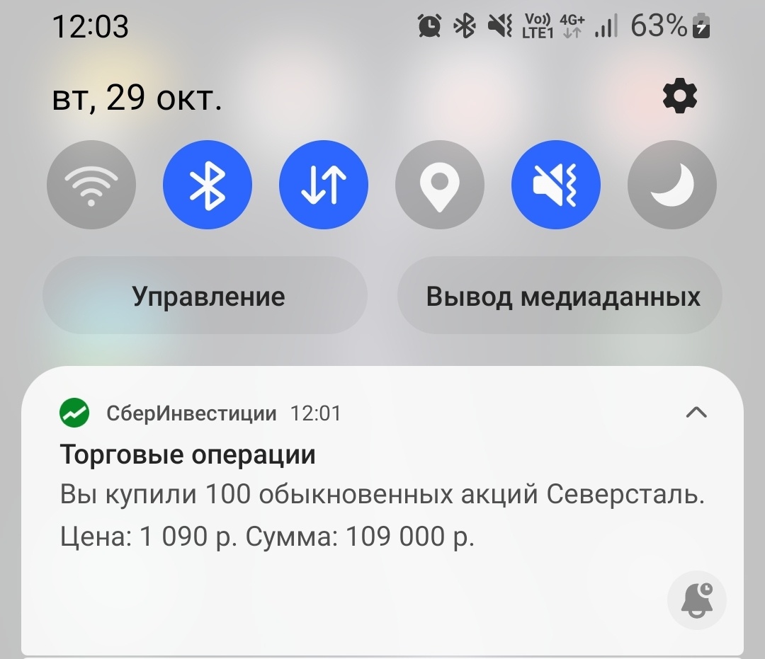 Покупка автора на брокерский в долгосрочный портфель 29.10.24.