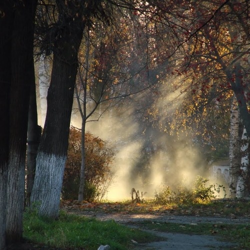 Изображение из открытых источников