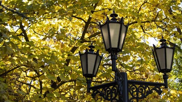    © РИА Новости Крым . Дмитрий Макеев