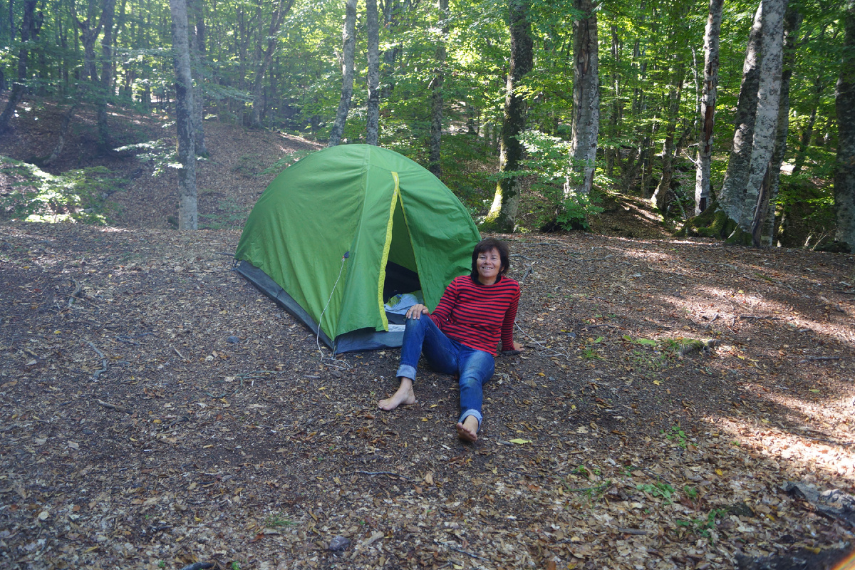 В буковом лесу