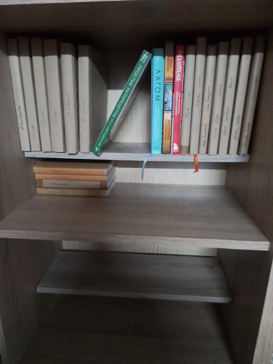 Он сделал мне добавочные полочки. На ширину книги. Теперь я могу книги ставить в два ряда и задний ряд выше переднего, видно, какие книги там стоят.