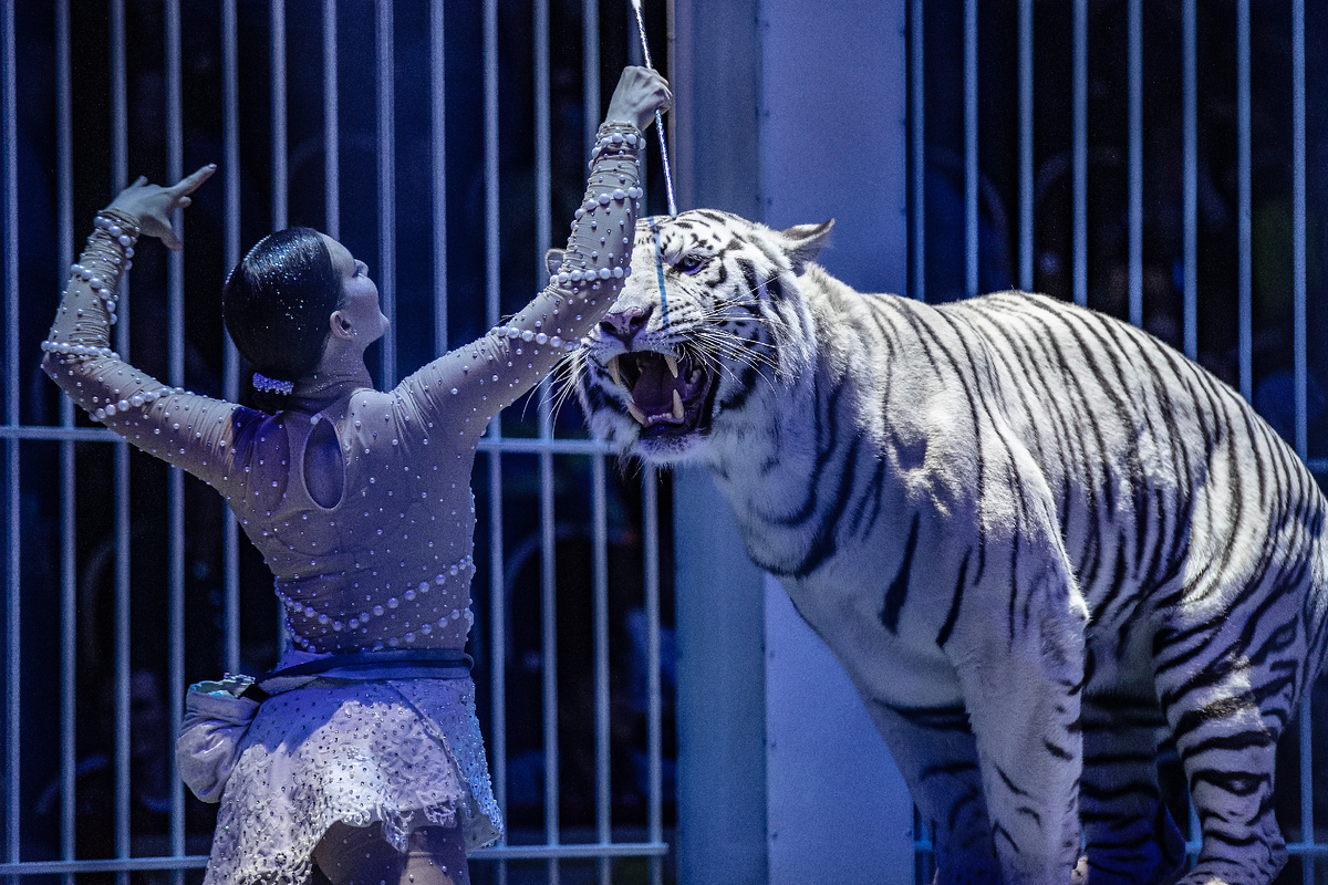 Фото Росгосцирка 