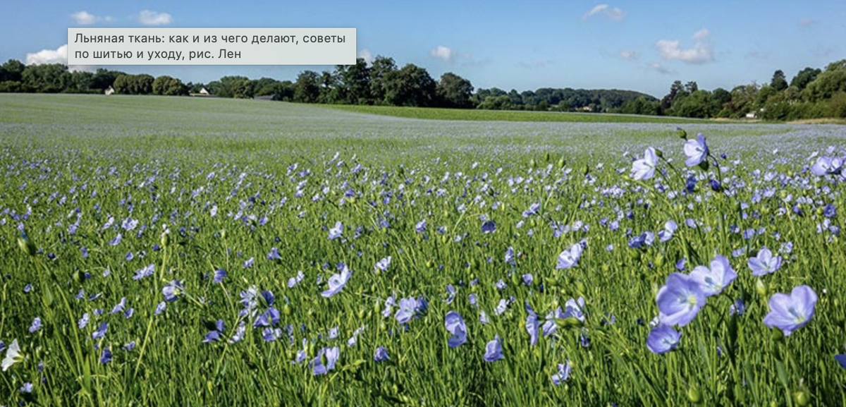 https://zvetnoe.ru/club/poleznye-stati/lnyanaya-tkan-kak-i-iz-chego-delayut-sovety-po-shityu-i-ukhodu/