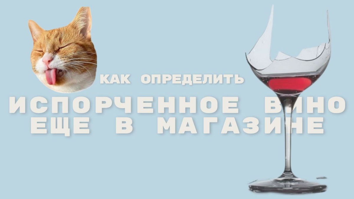 Как выбрать не испорченное вино