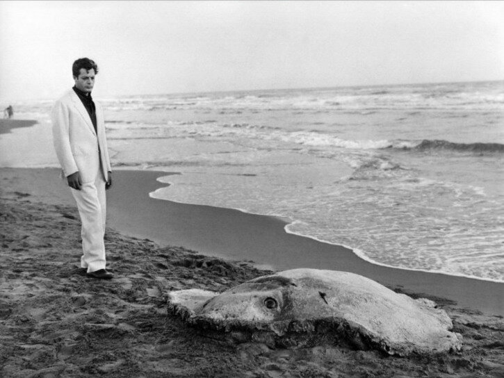 ���� �� ���������� "������� �����" // ��������� 