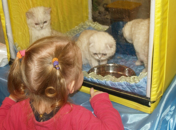 Фото: Царьград/Ростов-на-Дону