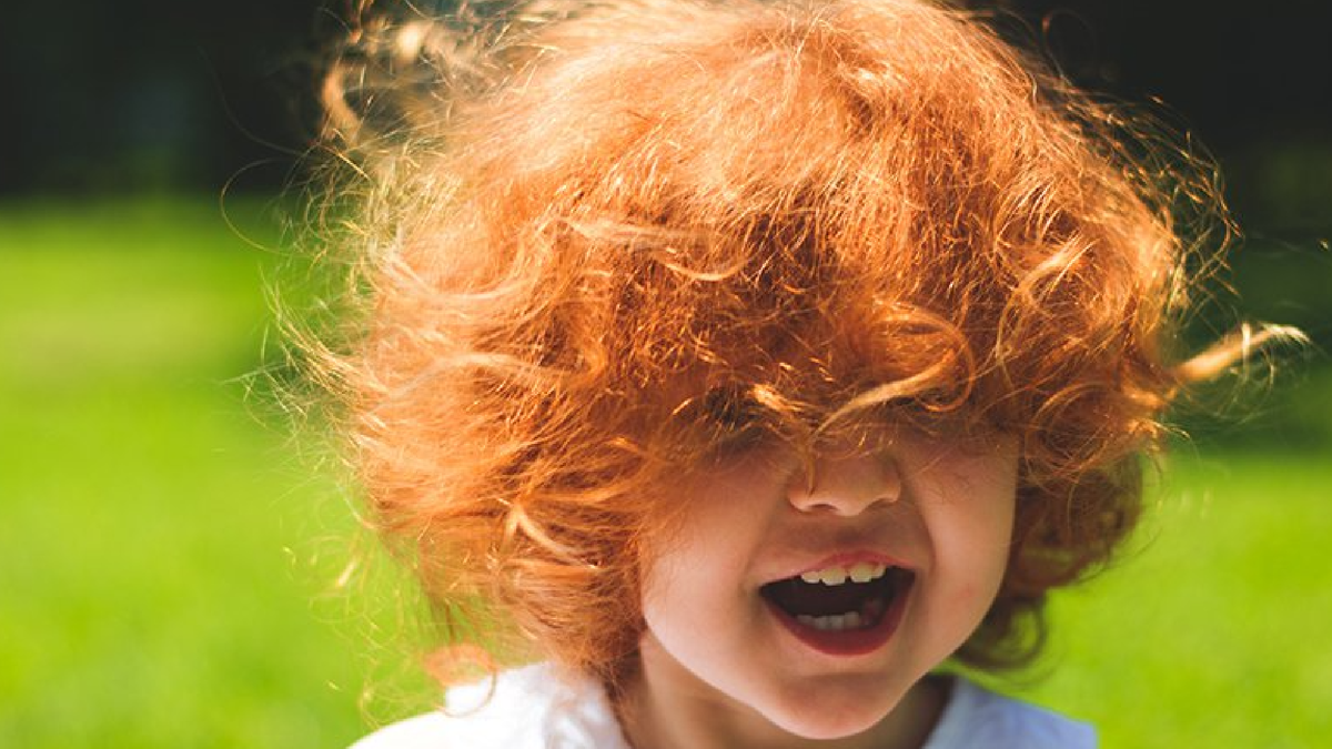 Фото из открытых источников интернета Яндекс.картинки