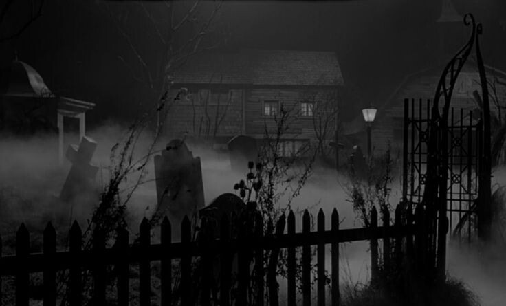 Изображение взято из открытых источников интернета. 