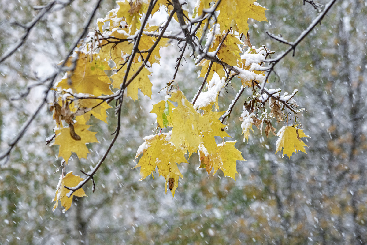 Konstantin Kokoshkin/Global Look Press