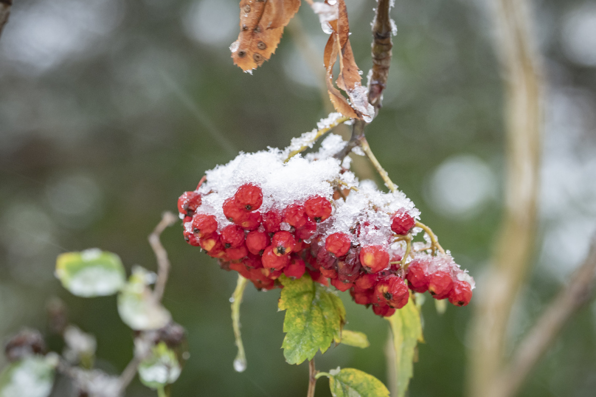 Konstantin Kokoshkin/Global Look Press