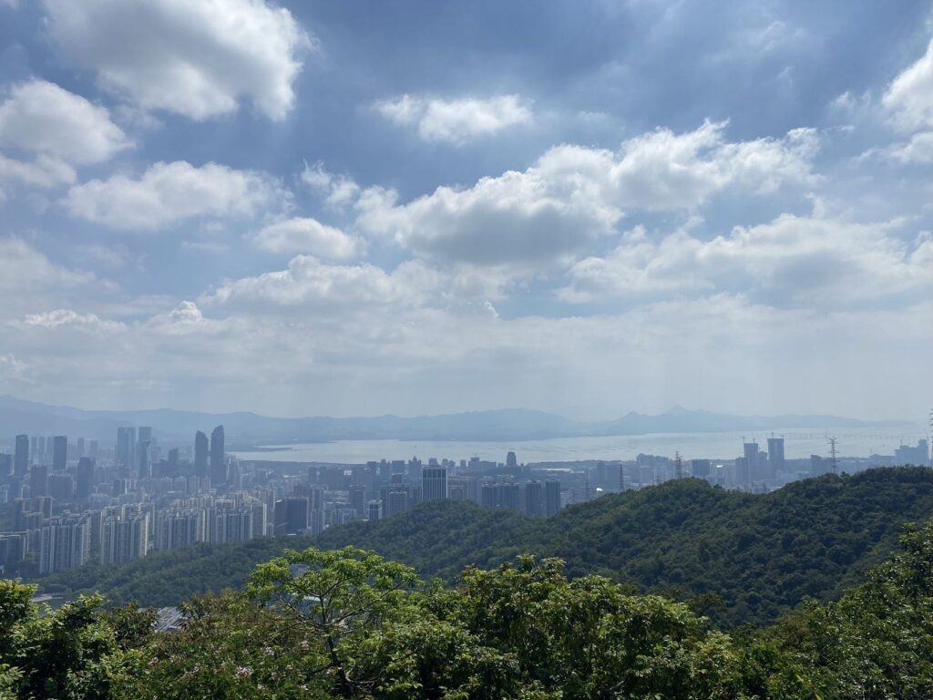 Шэньчжэнь — столица китайской микроэлектроники. 